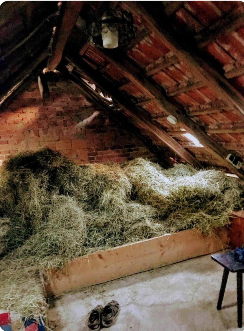 Bett im Heu auf Bauernhof Gemeinschaftsbad Schlafsäcke Hausbreitenbach Exterior foto